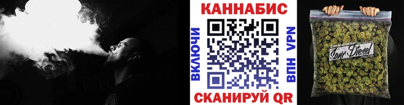 Бошки марихуана Amnesia Куровское